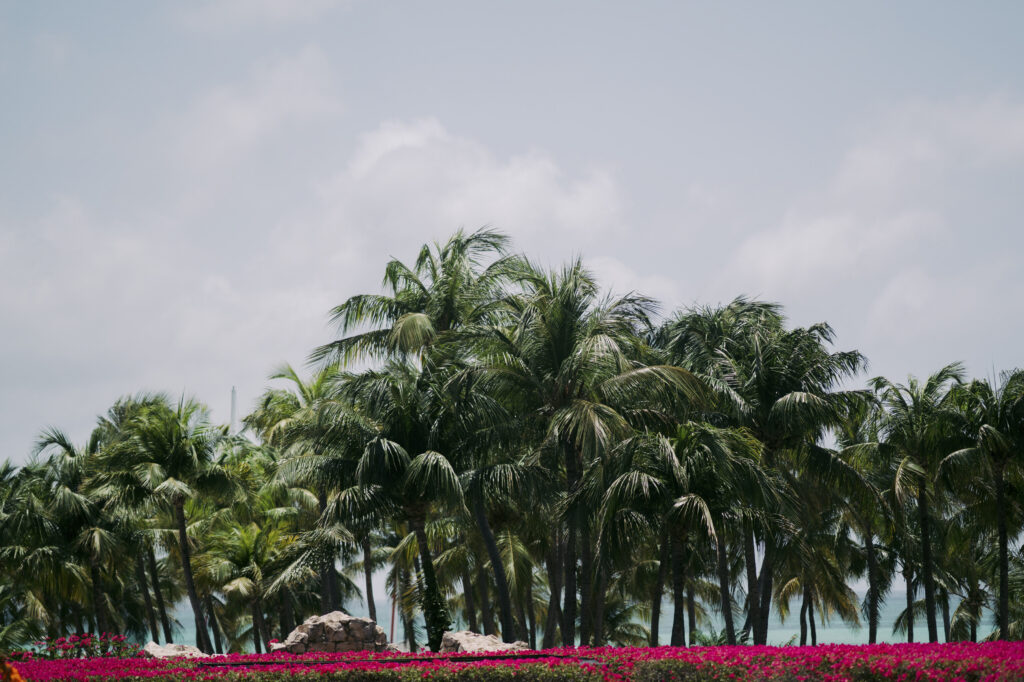 Kayla & Shane Hyatt Regency Aruba Wedding Photo 1