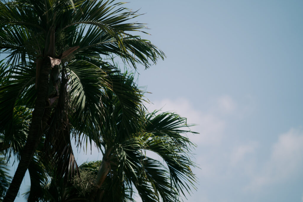 Kayla & Shane Hyatt Regency Aruba Wedding Photo 2