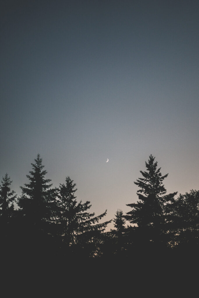 Chinese Wedding Photography Wedding Photo 53