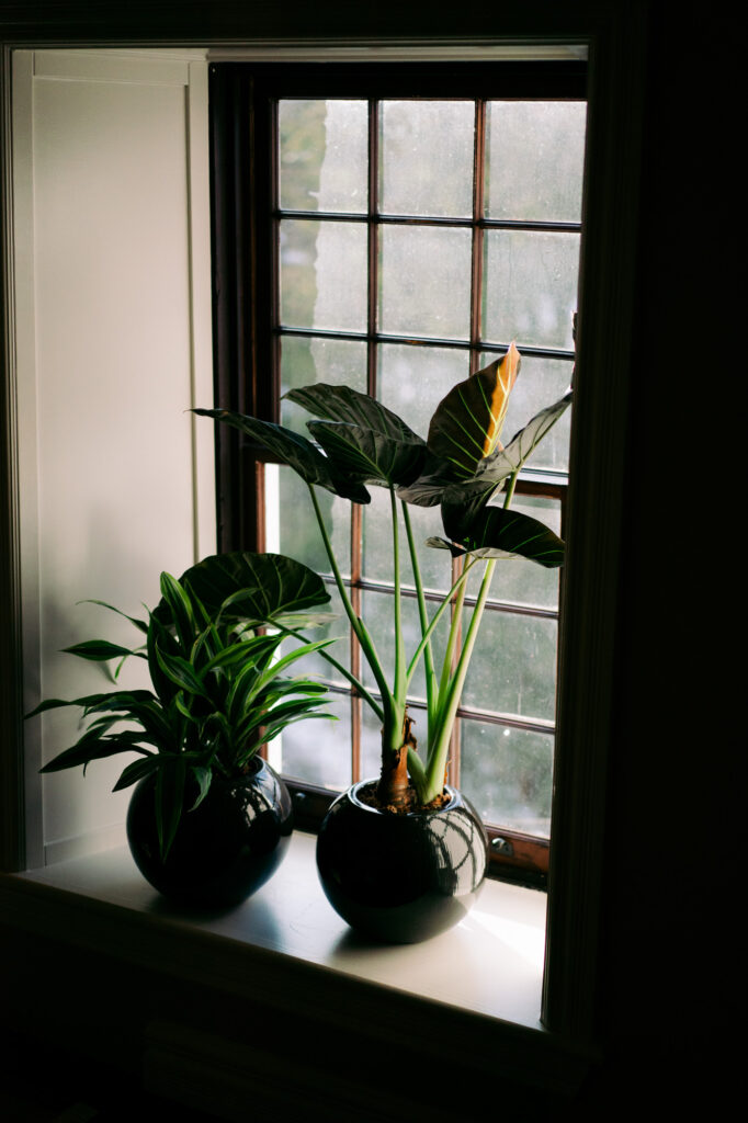 Leah & Jesse Wedding Photo 48