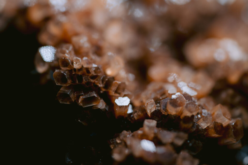 Zvonimir & Chantelle Wedding Photo 15