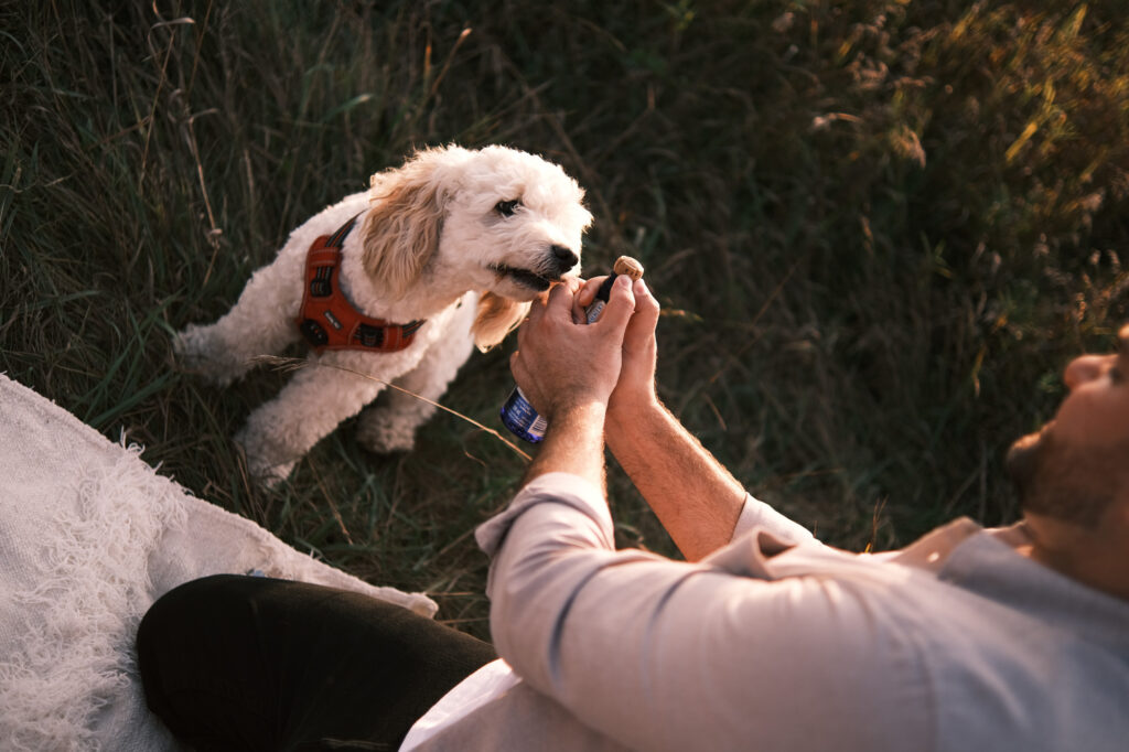 Joanna & Martin Wedding Photo 6